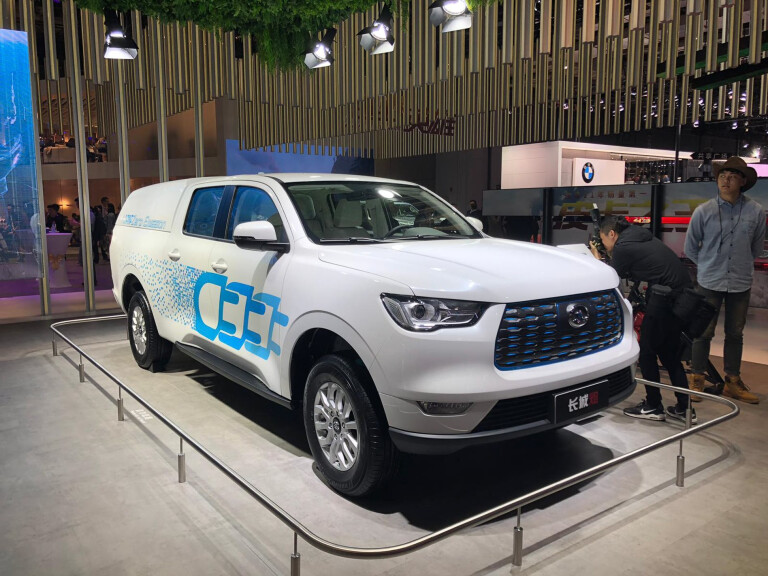 2020 Great Wall EV ute