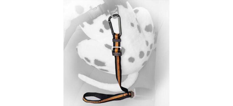 Dog-friendly car accessories