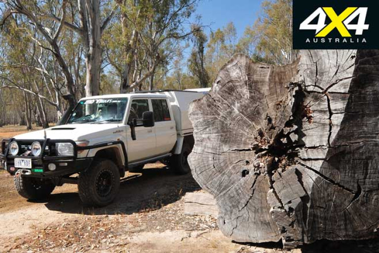Exploring The Murray River NSW 4 X 4 Travel Guide Red Gum Tree Jpg