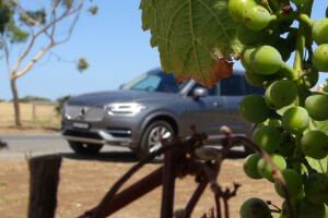 Volvo XC90 at vineyard