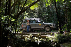 Mount Lewis National Park QLD 4x4 travel guide