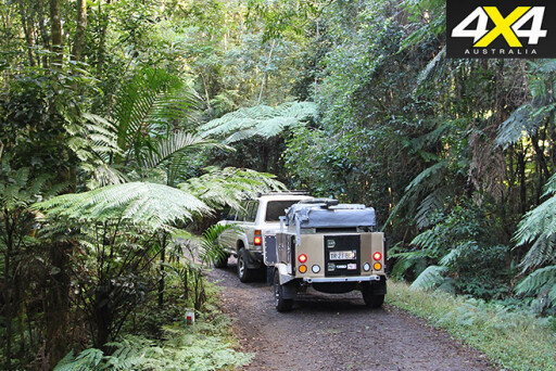 Rainforest trails