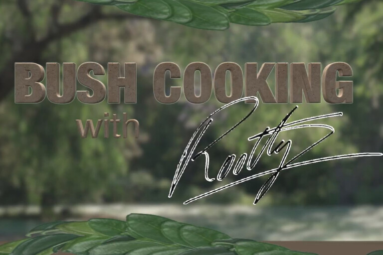 Roothy's Best Bush Cooking Vids of 2016