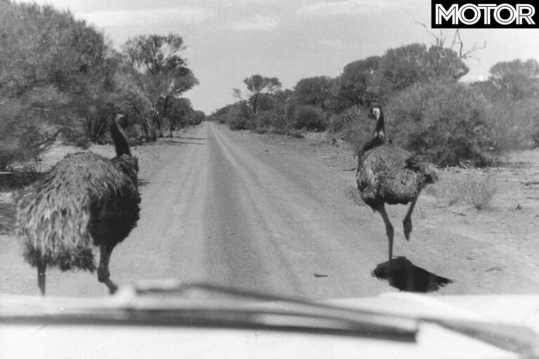 1968 London Sydney Marathon Rally Emu Jpg