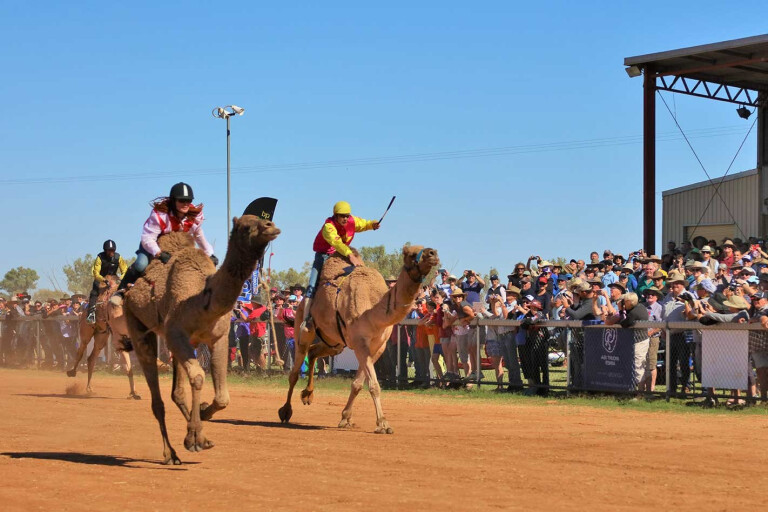 2018 Boulia Camel Races kick off this weekend